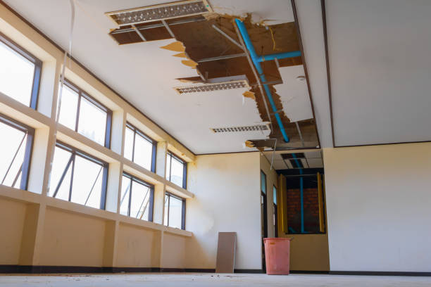 Best Water damage restoration near me  in Dover, DE