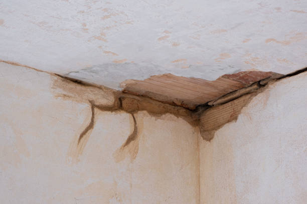  Dover, DE Water damage restoration Pros