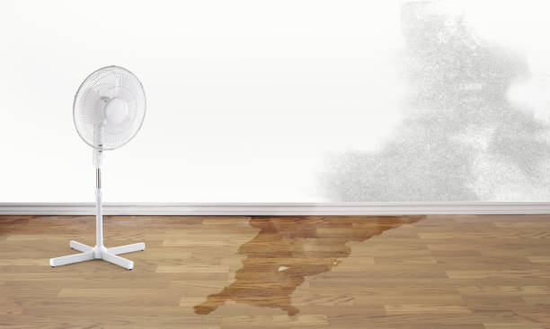 Best Flooded house restoration  in Dover, DE
