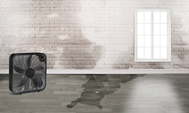 Best 24/7 water damage repair  in Dover, DE