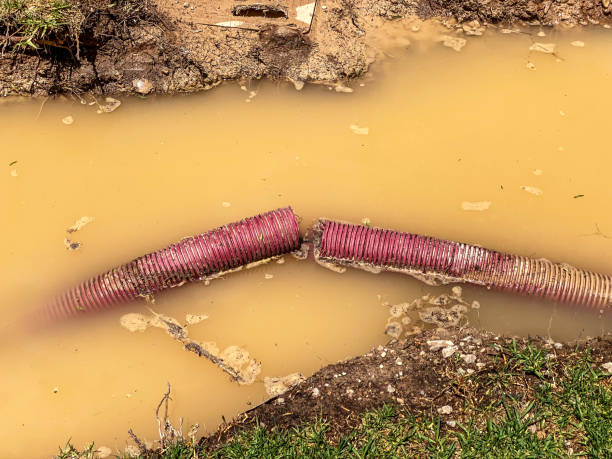 Water damage restoration process in Dover, DE
