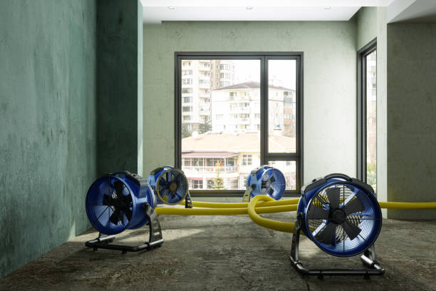 Best Water damage contractors near me  in Dover, DE