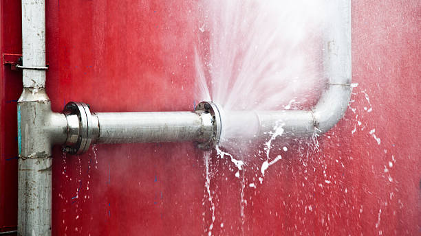 Best Professional water damage repair  in Dover, DE