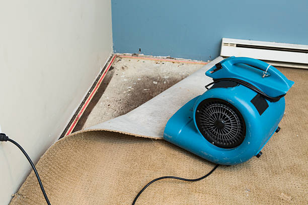 Best Water damage restoration near me  in Dover, DE